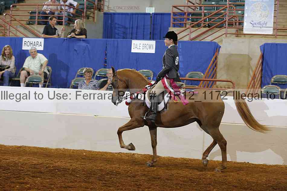 Proof Number 14r12_1172
