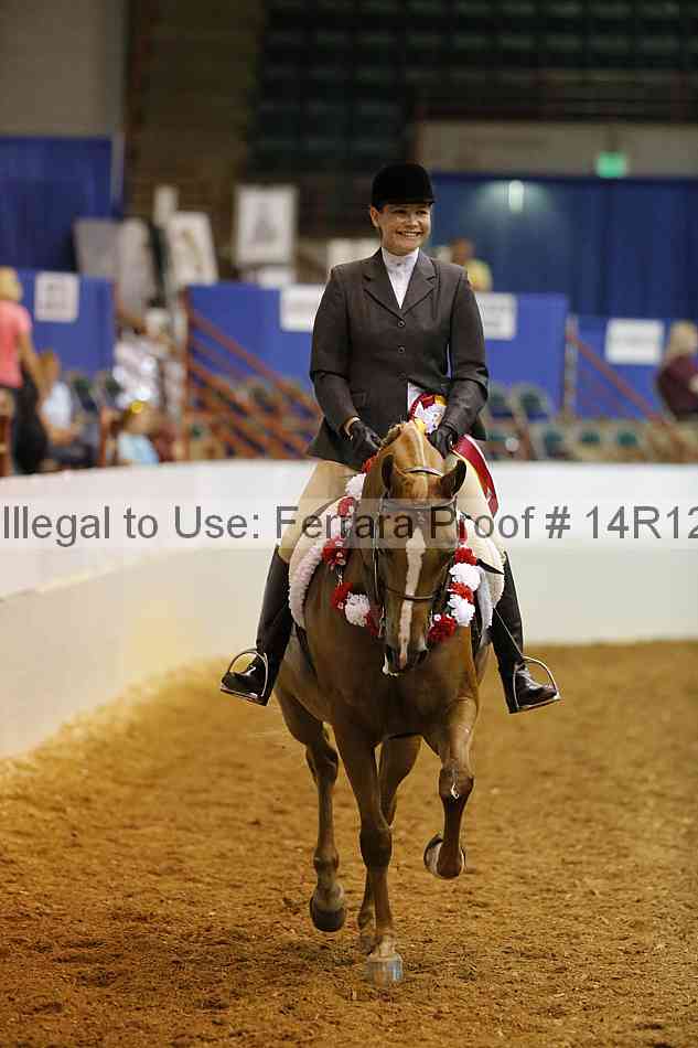 Proof Number 14r12_1175