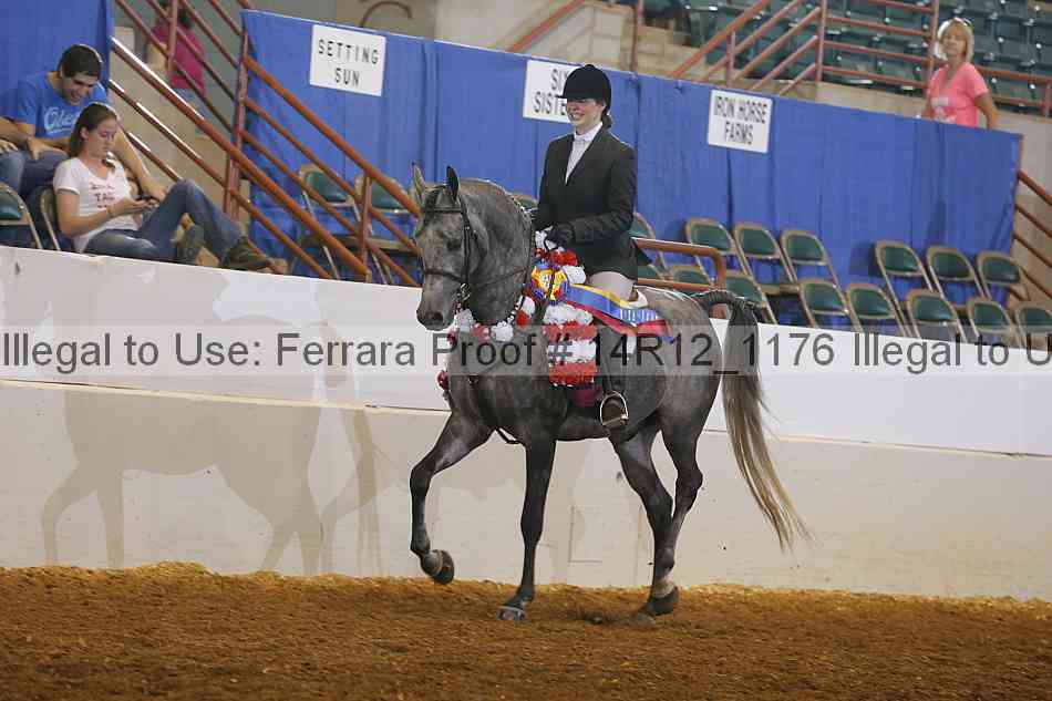 Proof Number 14r12_1176