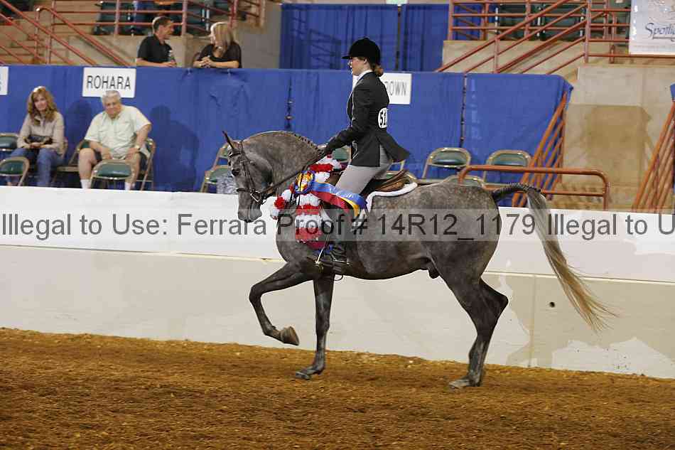 Proof Number 14r12_1179