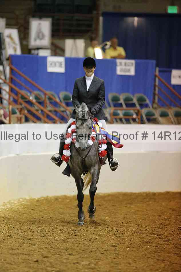 Proof Number 14r12_1180