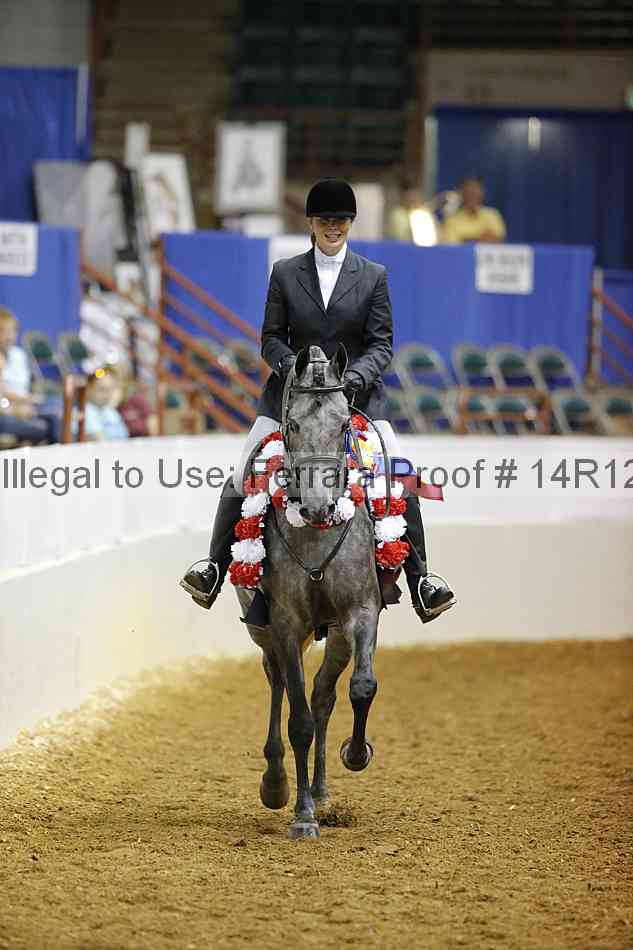 Proof Number 14r12_1182