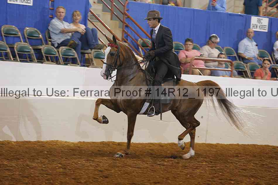 Proof Number 14r12_1197