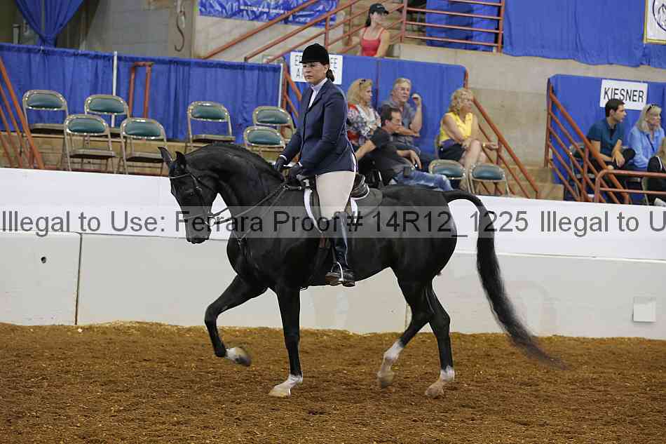 Proof Number 14r12_1225
