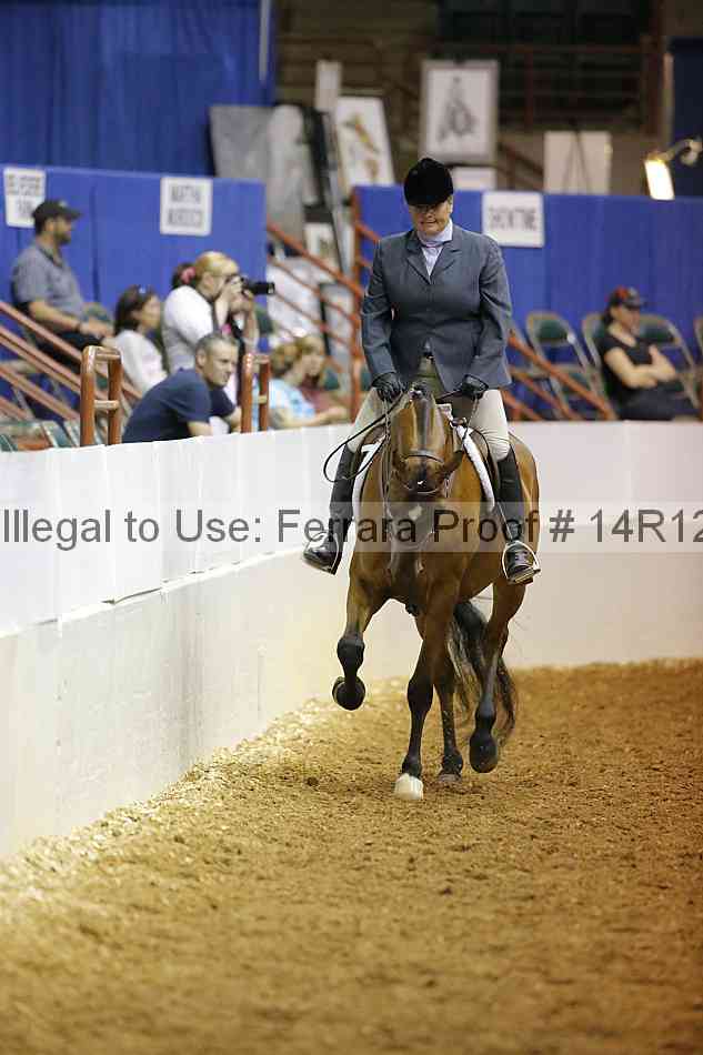 Proof Number 14r12_1249