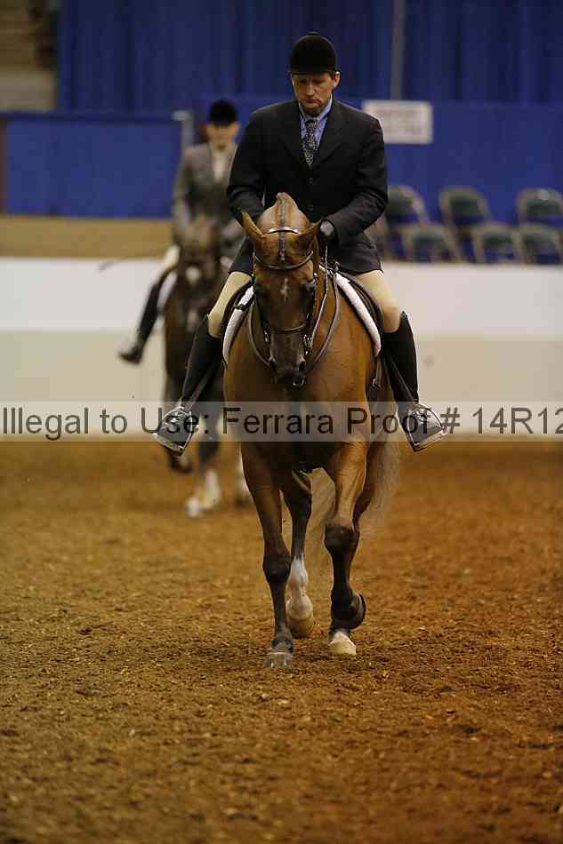 Proof Number 14r12_1255
