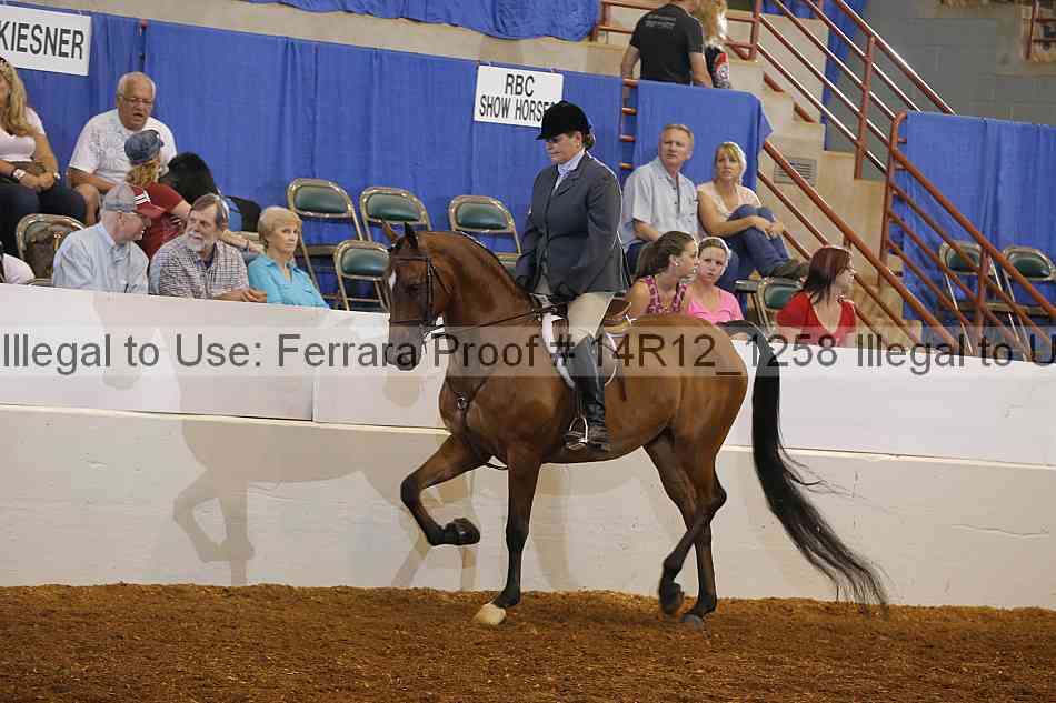 Proof Number 14r12_1258