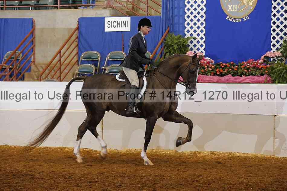 Proof Number 14r12_1270