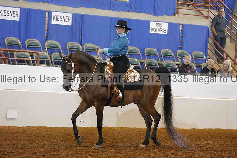 Proof Number 14r12_1335