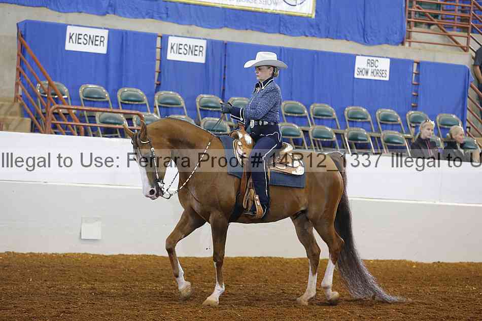 Proof Number 14r12_1337