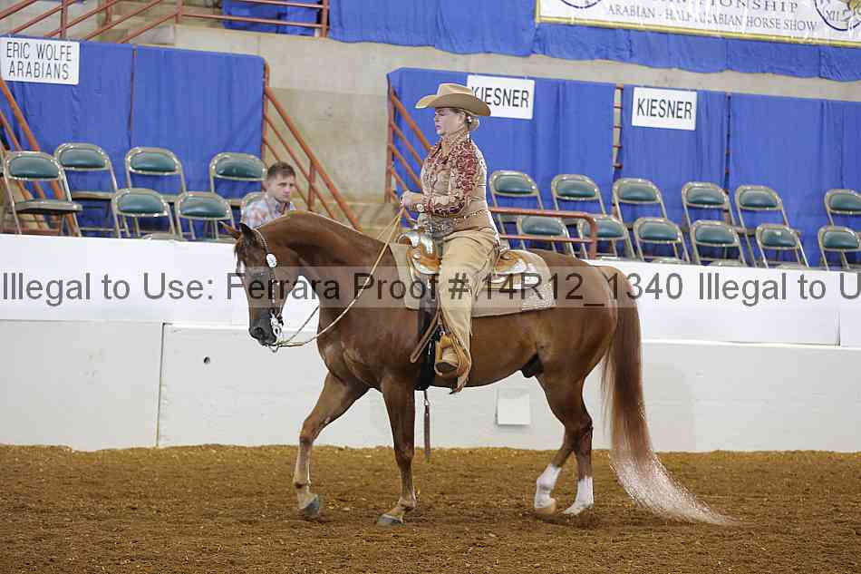 Proof Number 14r12_1340