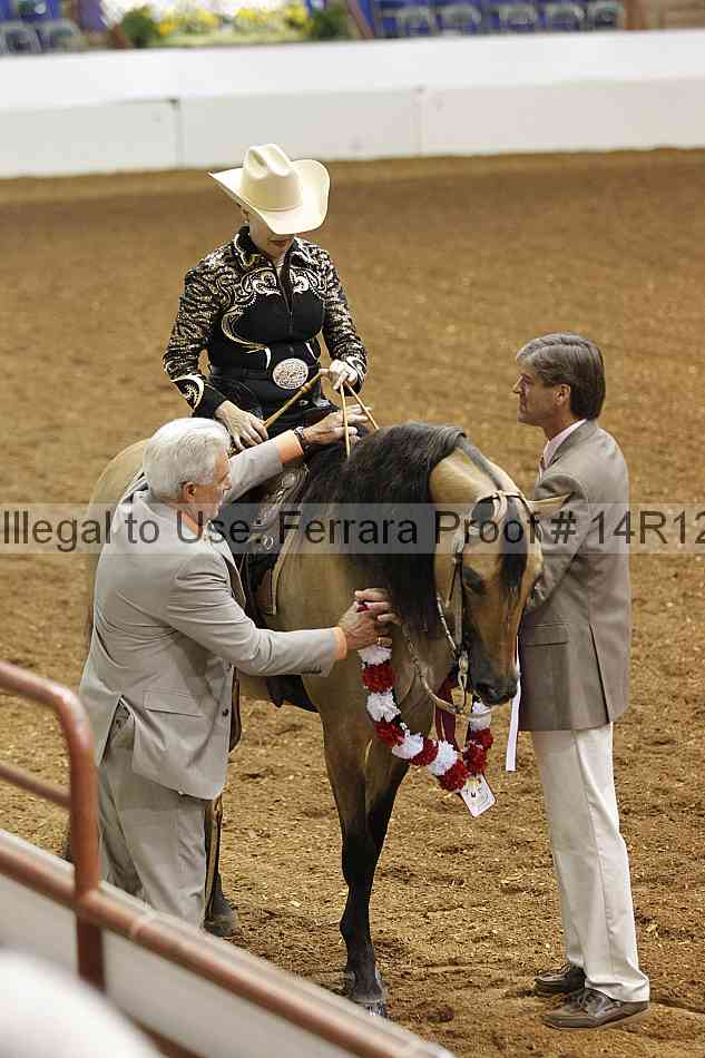 Proof Number 14r12_1342