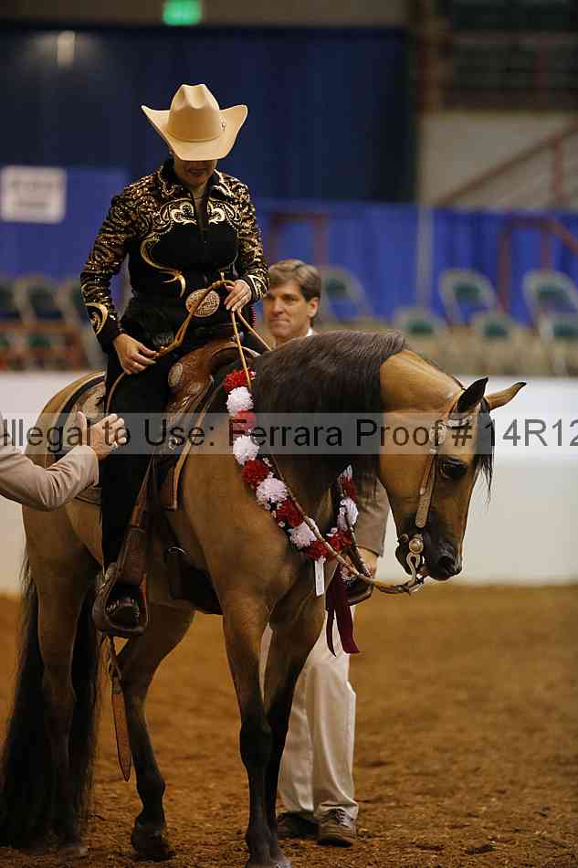 Proof Number 14r12_1353