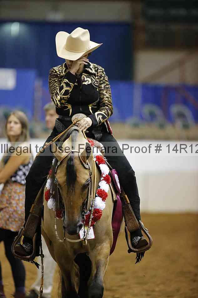 Proof Number 14r12_1354