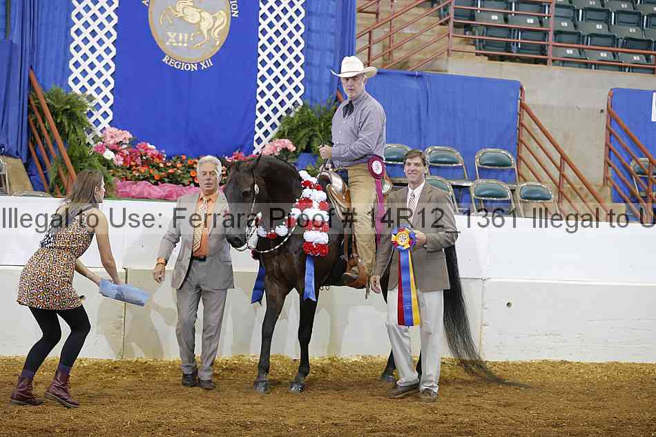 Proof Number 14r12_1361
