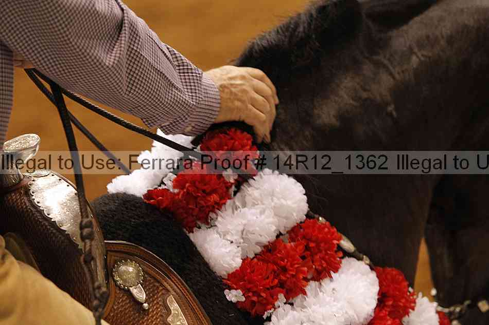 Proof Number 14r12_1362