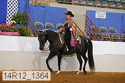 14r12_1364 thumbnail