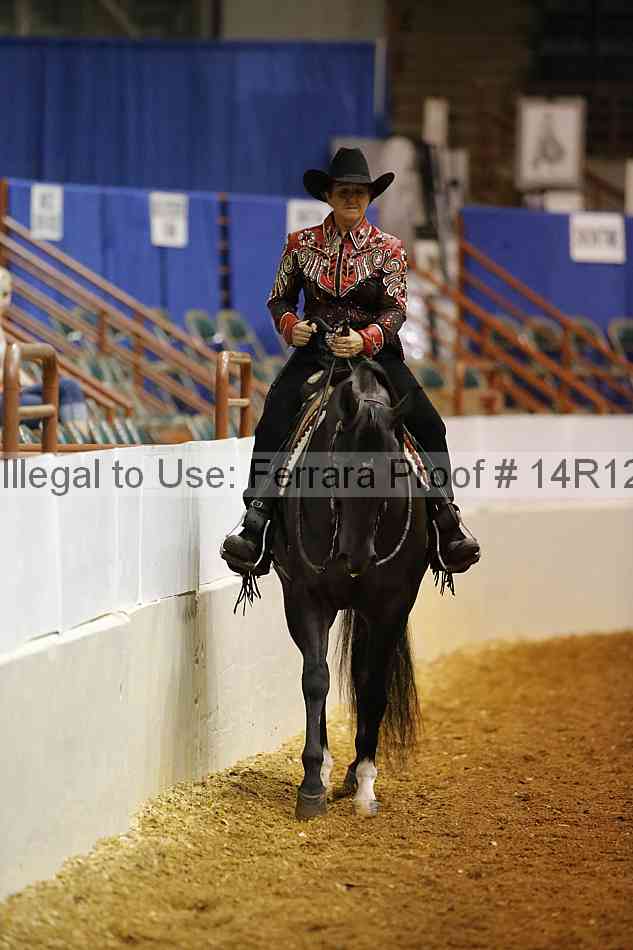 Proof Number 14r12_1366