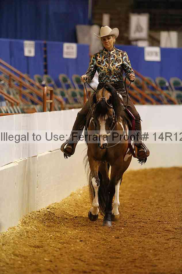 Proof Number 14r12_1370