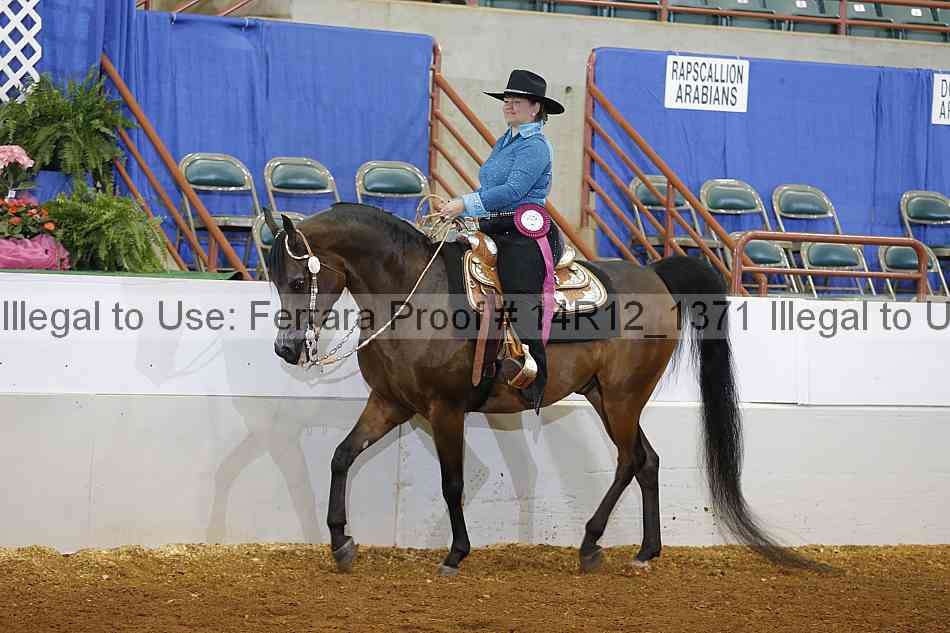 Proof Number 14r12_1371