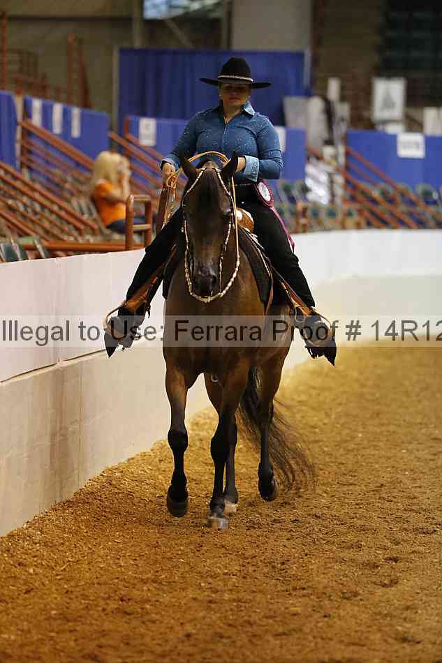 Proof Number 14r12_1372