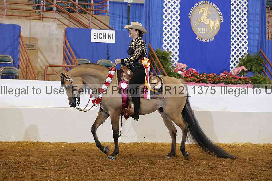 Proof Number 14r12_1375