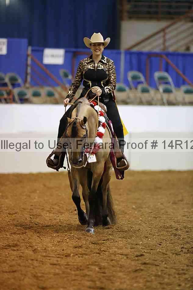 Proof Number 14r12_1376