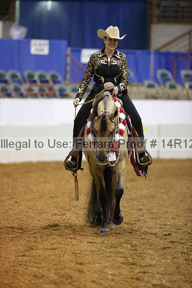 Proof Number 14r12_1377