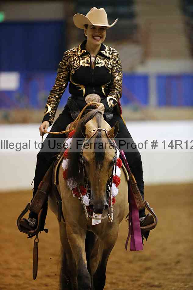 Proof Number 14r12_1379