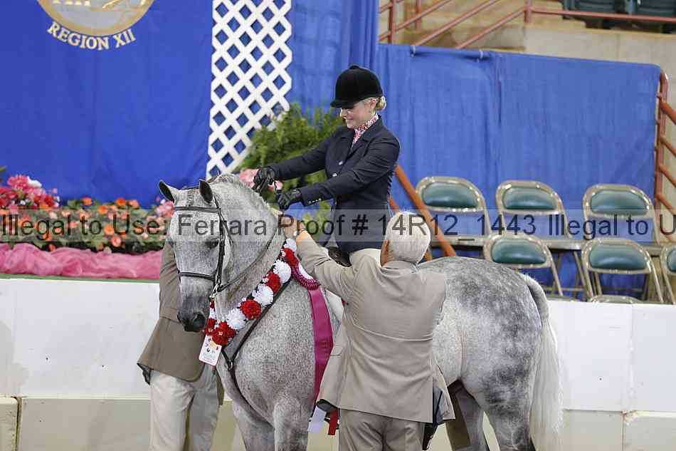 Proof Number 14r12_1443