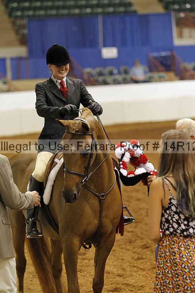 Proof Number 14r12_1450