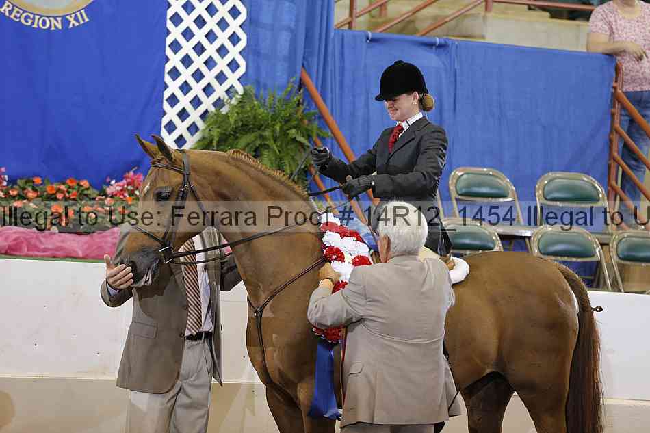 Proof Number 14r12_1454