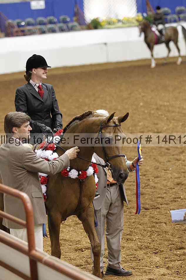 Proof Number 14r12_1456