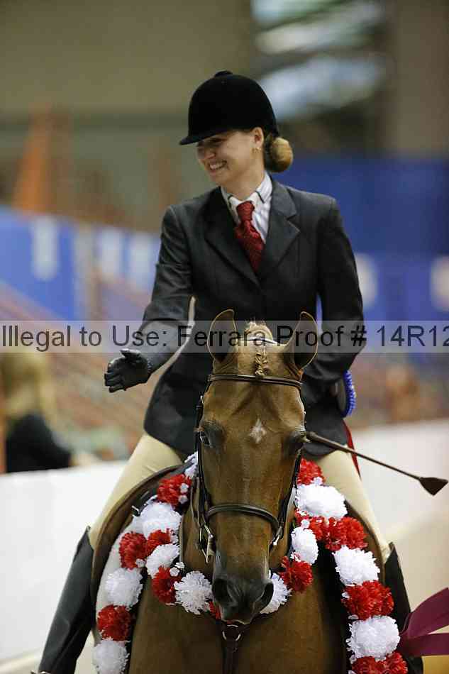 Proof Number 14r12_1465