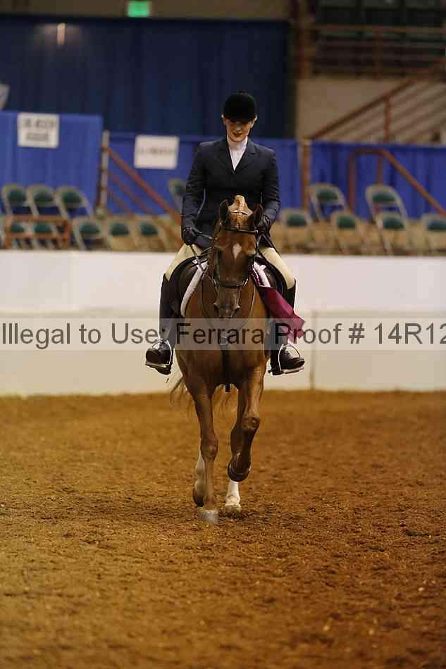 Proof Number 14r12_1470