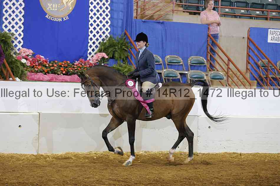 Proof Number 14r12_1472