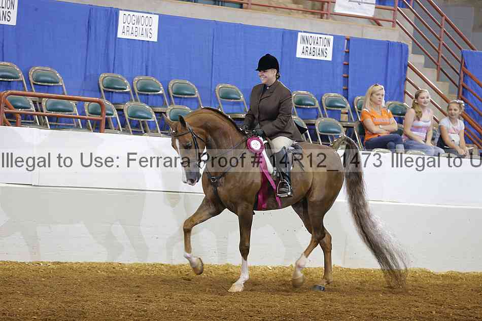 Proof Number 14r12_1473
