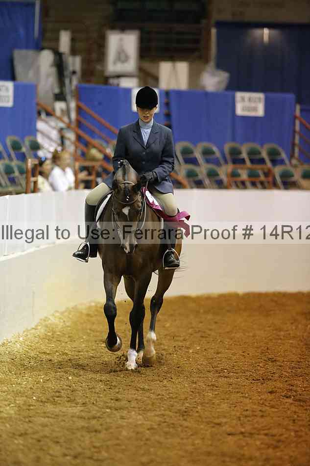 Proof Number 14r12_1474