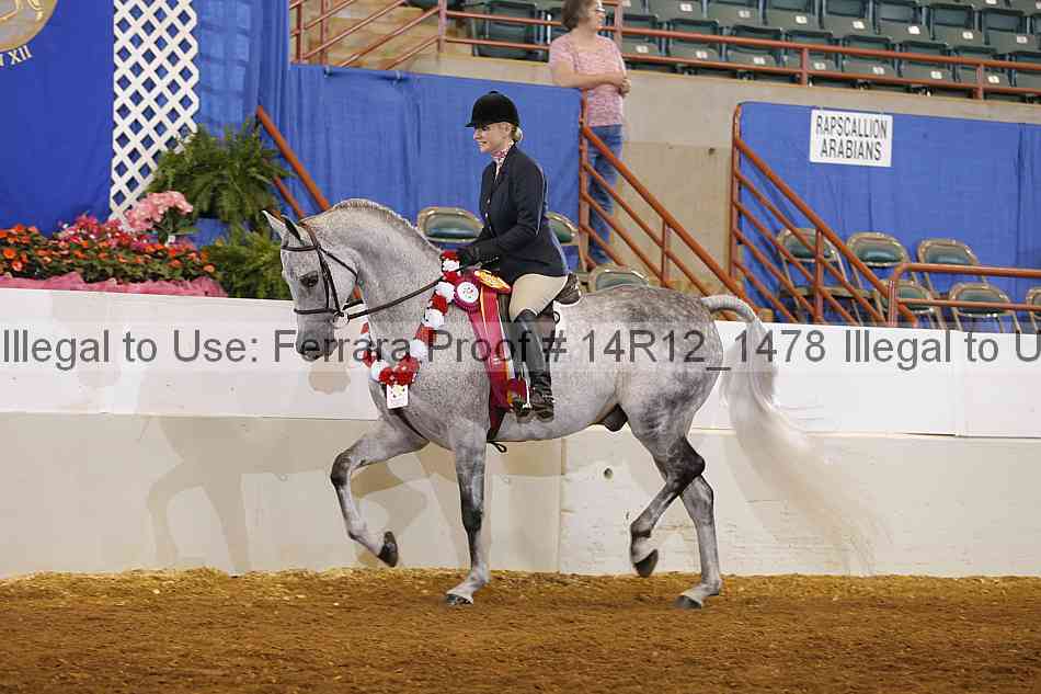 Proof Number 14r12_1478