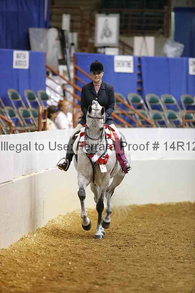 Proof Number 14r12_1479