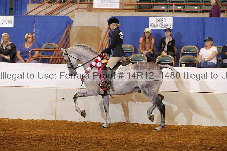 Proof Number 14r12_1480