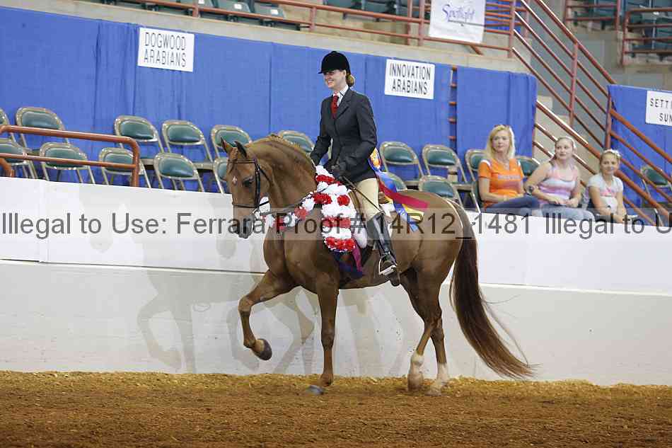 Proof Number 14r12_1481