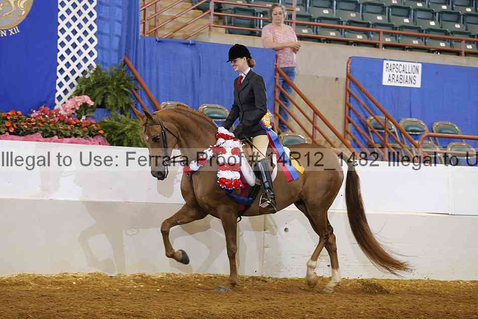 Proof Number 14r12_1482