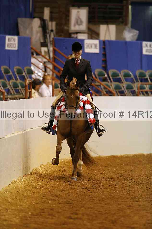 Proof Number 14r12_1483