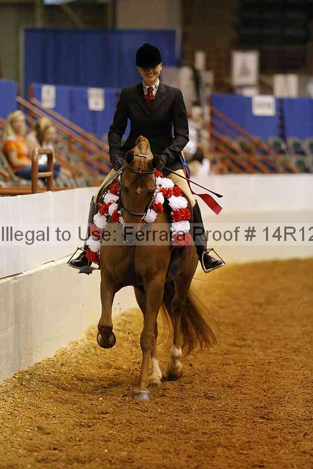 Proof Number 14r12_1484