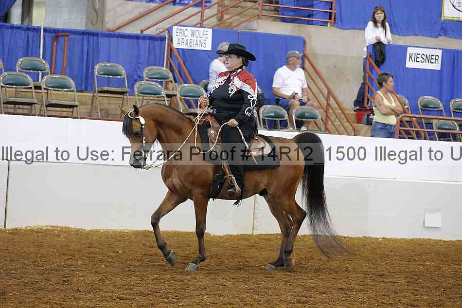 Proof Number 14r12_1500