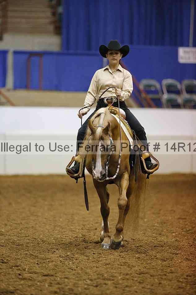 Proof Number 14r12_1509