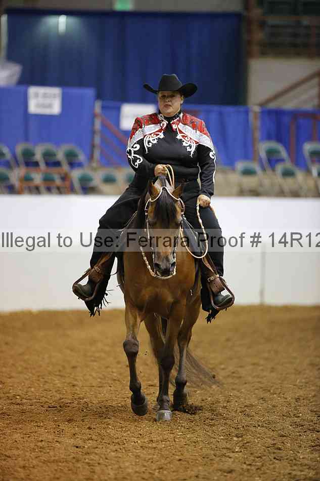 Proof Number 14r12_1511