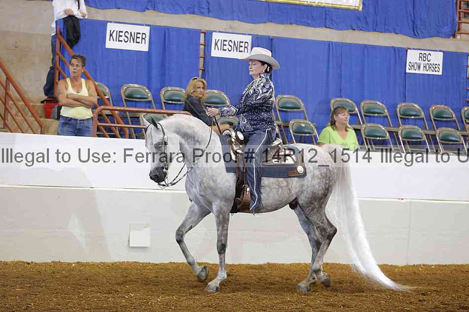 Proof Number 14r12_1514