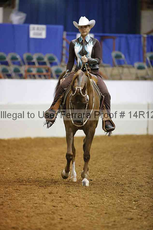 Proof Number 14r12_1515